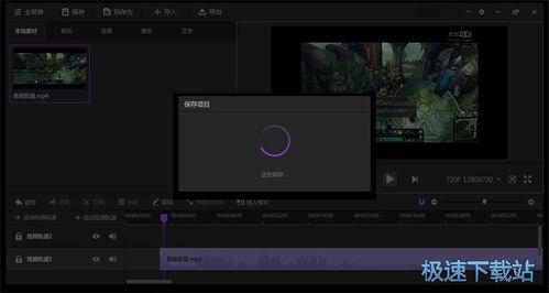 国产大神在线的网站视频,揭秘热门视频背后的精彩故事